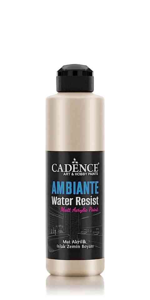 AMBIENTE SUYA DAY. MET. AKR. BOYA AWM-02 PLATİN 250ML + KATALİZÖR 10GR